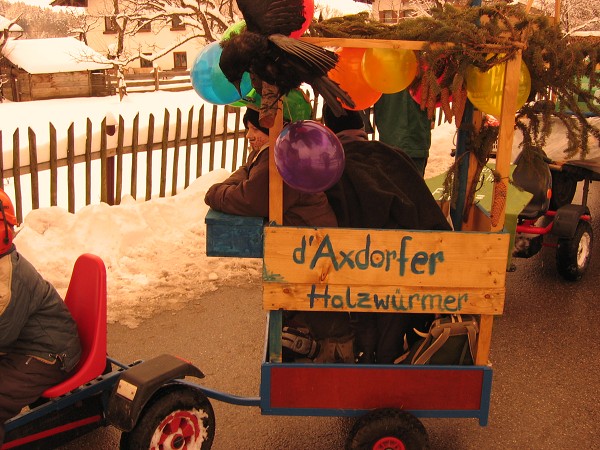 Bilder Faschingszug 2004