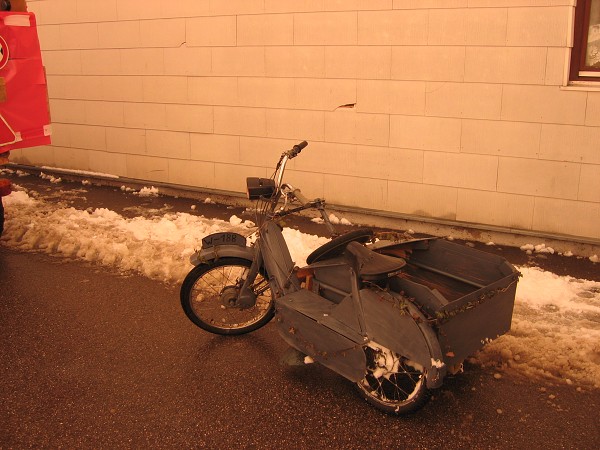 Bilder Faschingszug 2004