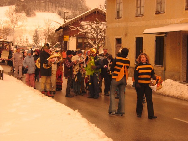 Bilder Faschingszug 2004