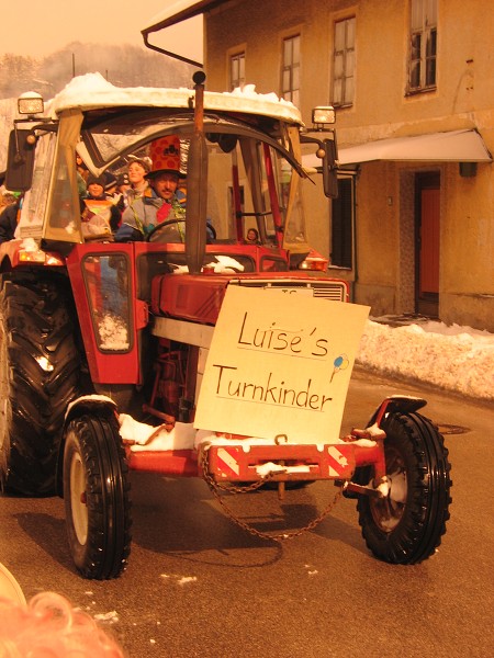 Bilder Faschingszug 2004