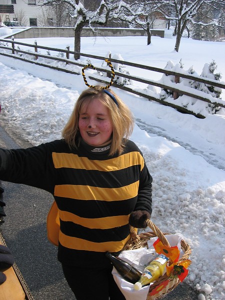 Bilder Faschingszug 2004